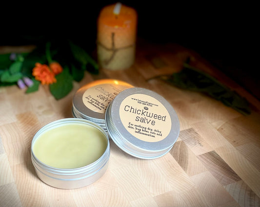 Chickweed Salve