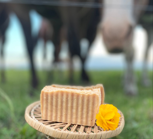 Fresh Citrus Goatsmilk Soap